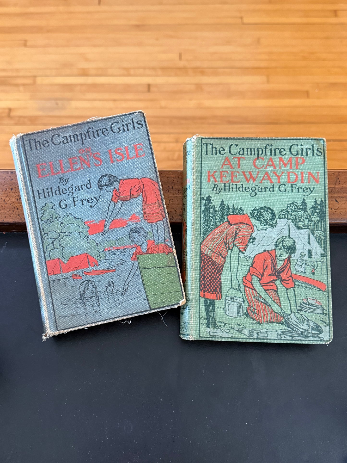 Set of The Campfire Girls Books