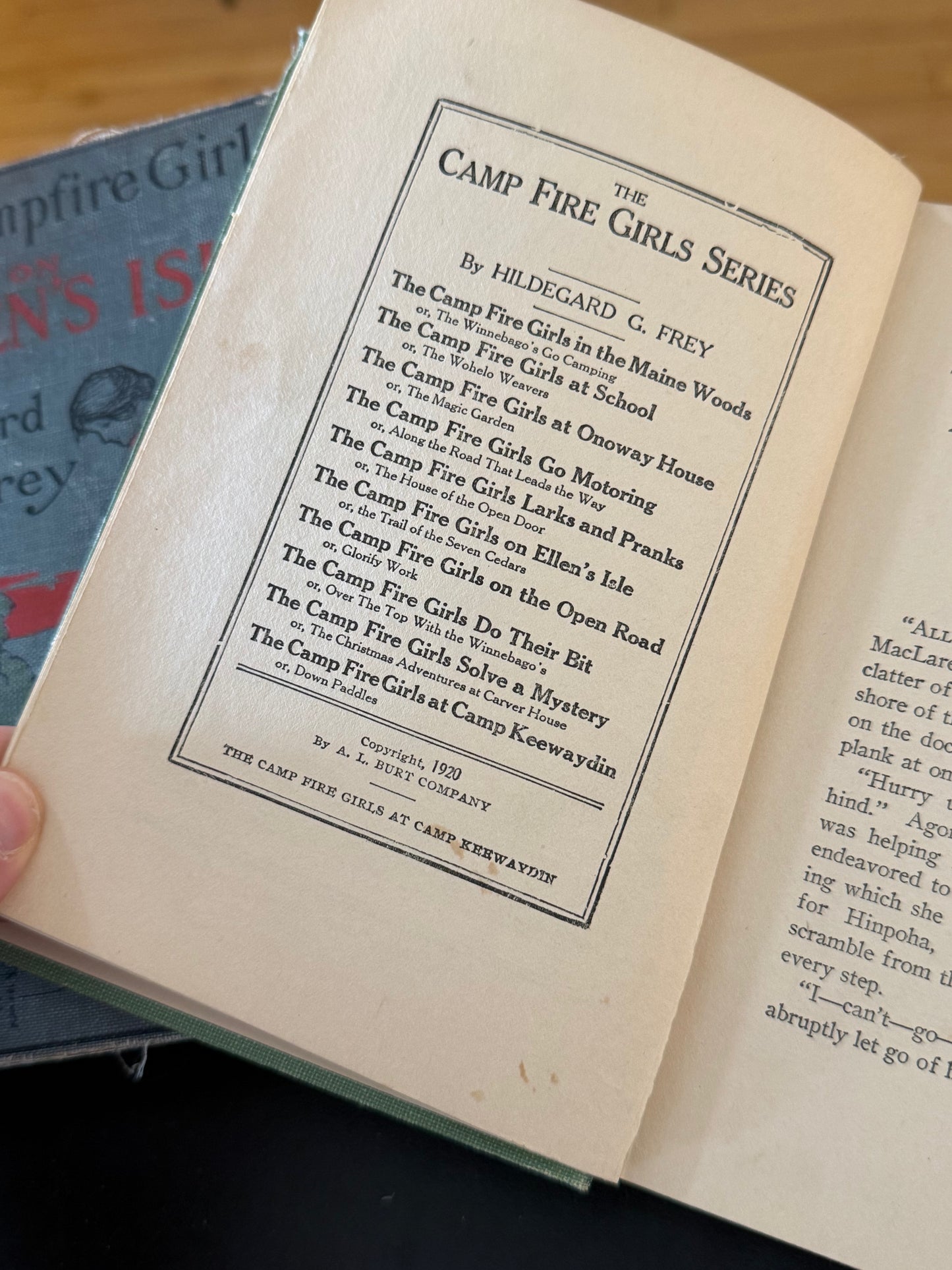 Set of The Campfire Girls Books